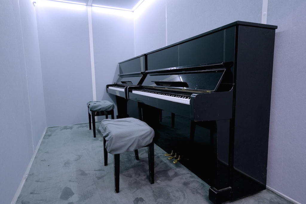 Double Piano Room