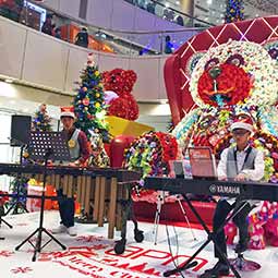 Marimba Piano @ APM Music Performance