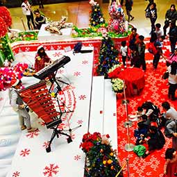 Marimba Piano @ APM Music Performance